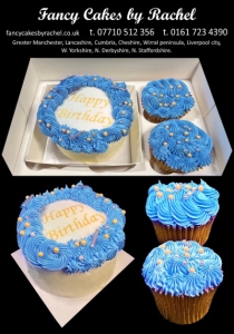 Bentobirdaycakeblueandcupcakes-1