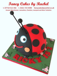 Ladybirdbirthdaycake-15939990d2cfe2